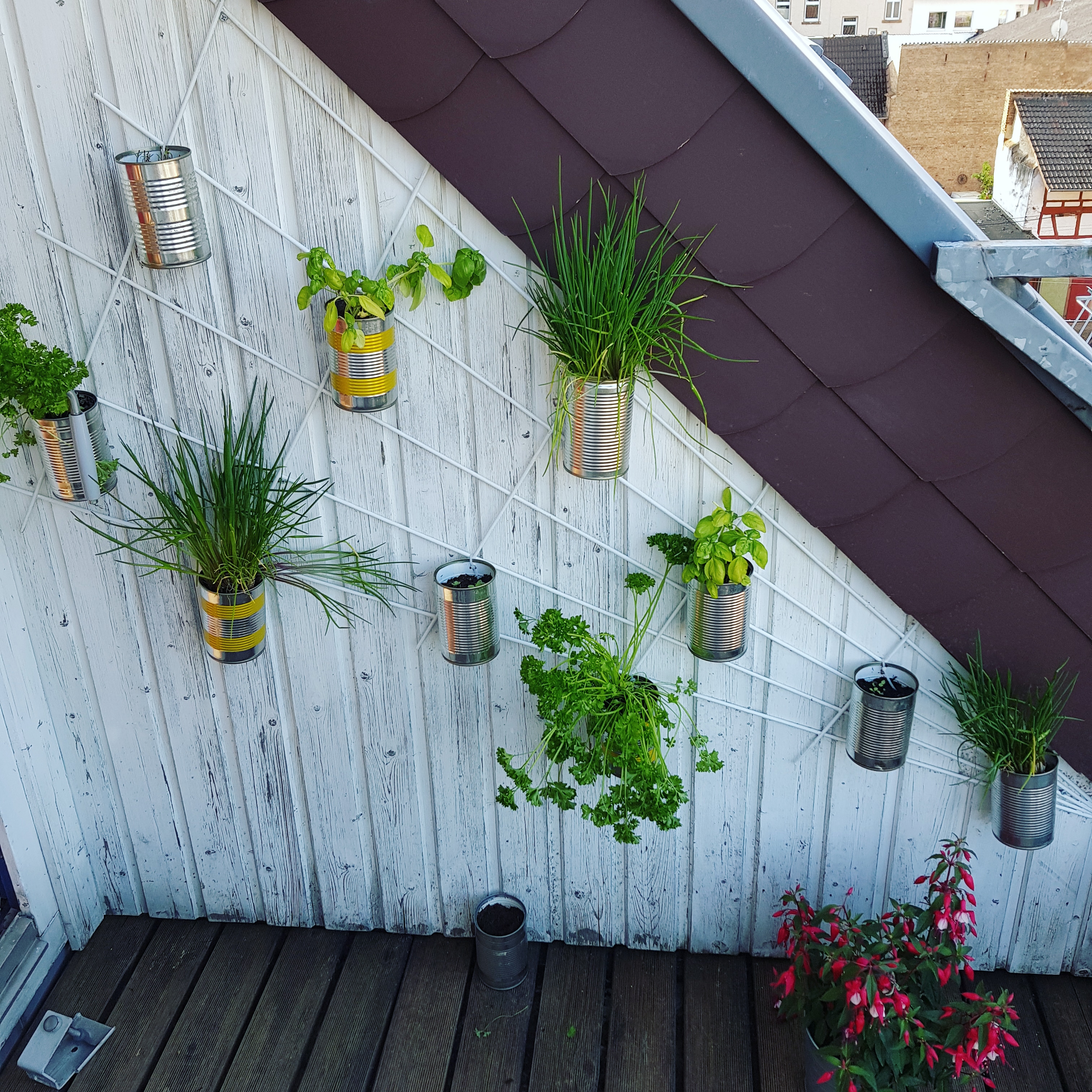 Herbwall under the rooftop