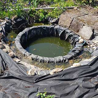 Rebuilding the old pond