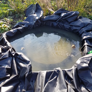 Lining pond and filling it up