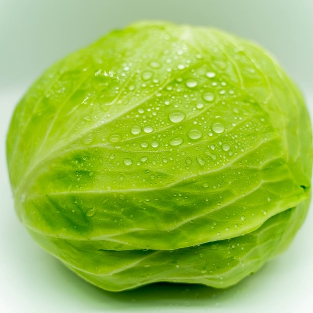 Head of cabbage